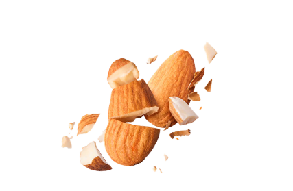 shape